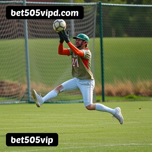 Requisitos do APK da bet505vip para Android