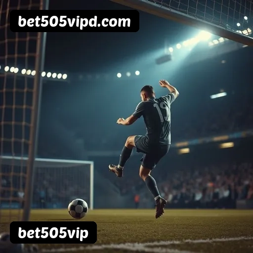 Níveis do programa VIP da bet505vip
